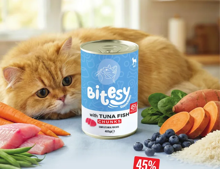 A cat eating Bitesy Essentials wet food from a bowl