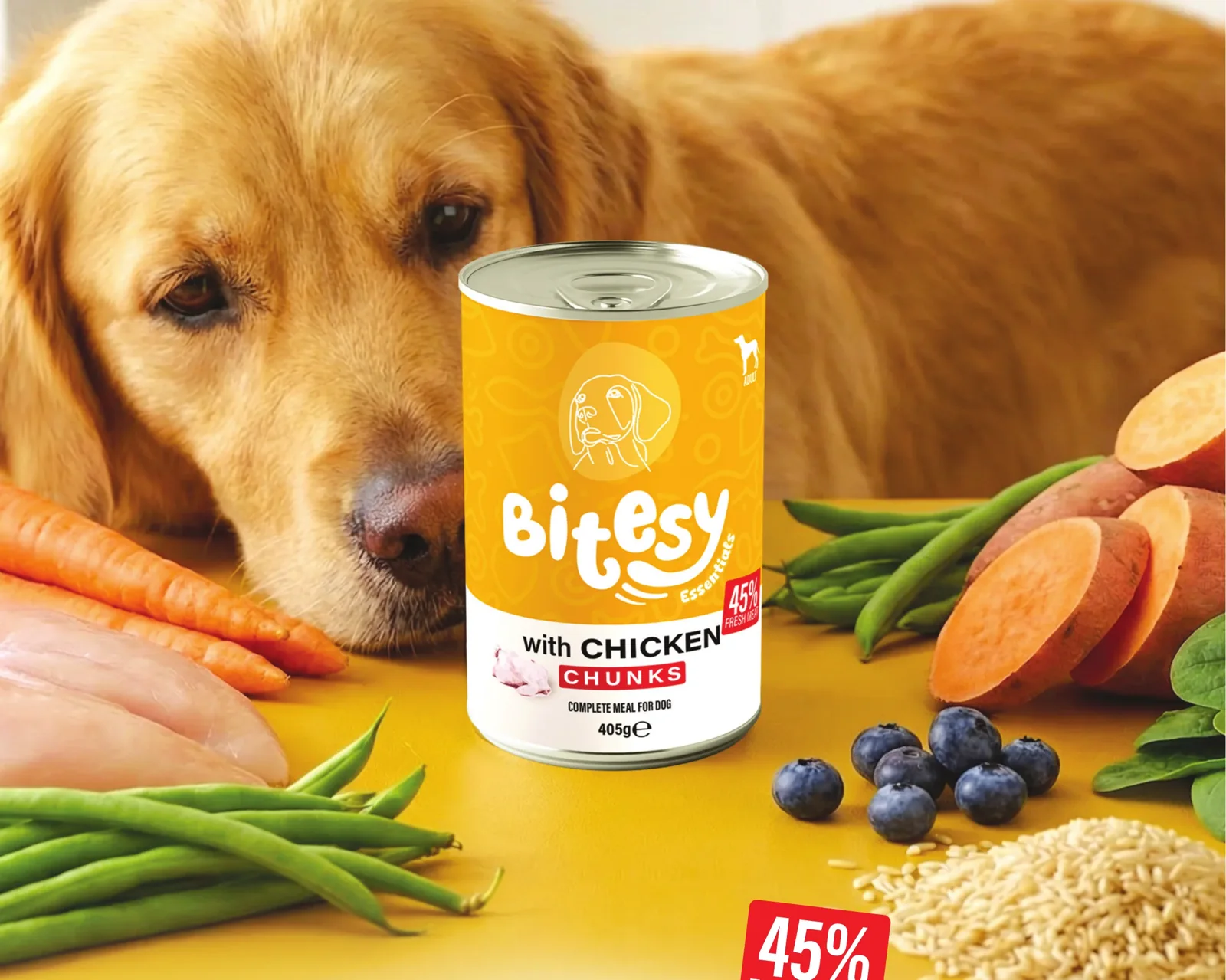 Bitesy Essentials wet food cans for dogs with a dog